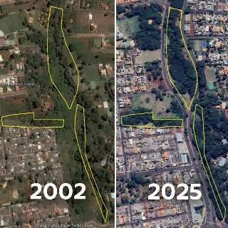 Plantio de 1.530 mudas no Sóter pode selar fim da ação ambiental mais antiga Plantio de 1.530 mudas no Sóter pode selar fim da ação ambiental mais antiga