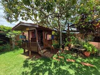 Domingos e Ana construíram jardim secreto com gruta "milagrosa" Domingos e Ana construíram jardim secreto com gruta "milagrosa"