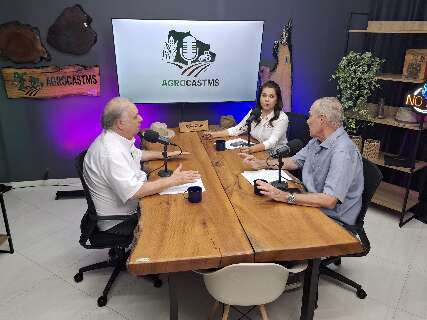 Mato Grosso do Sul lidera a produção de florestas plantadas Mato Grosso do Sul lidera a produção de florestas plantadas
