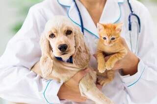 Campanhas de prevenção para pets podem integrar calendário oficial de MS Campanhas de prevenção para pets podem integrar calendário oficial de MS