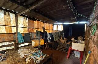 Número de adolescentes resgatados no trabalho escravo triplica em MS Número de adolescentes resgatados no trabalho escravo triplica em MS