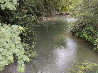 Após “banho de lama”, Rio Formoso amanhece limpo em Bonito  Após “banho de lama”, Rio Formoso amanhece limpo em Bonito