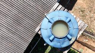 Número de adolescentes resgatados no trabalho escravo triplica em MS Número de adolescentes resgatados no trabalho escravo triplica em MS