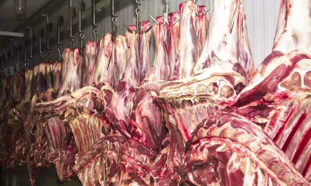 China e México impulsionam exportações de carne bovina