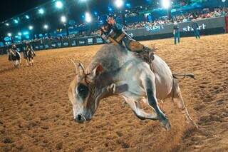 Adriano Moraes traz etapa mundial da PBR a Campo Grande e diz sentir-se em casa Adriano Moraes traz etapa mundial da PBR a Campo Grande e diz sentir-se em casa