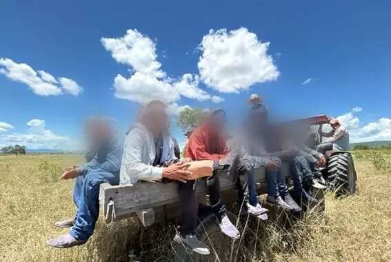 Número de adolescentes resgatados no trabalho escravo triplica em MS