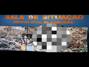 Drone flagra morador colocando fogo em lixo em matagal  em Corumbá Drone flagra morador colocando fogo em lixo em matagal  em Corumbá