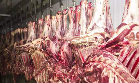 China e México impulsionam exportações de carne bovina China e México impulsionam exportações de carne bovina