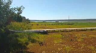 Usina libera água no Rio Pardo para dispersar tapete de plantas Usina libera água no Rio Pardo para dispersar tapete de plantas