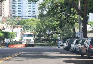 Pé de manga cai e bloqueia trecho da Rua Arthur Jorge Pé de manga cai e bloqueia trecho da Rua Arthur Jorge