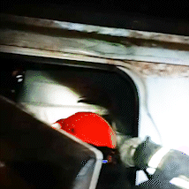 Motorista morre preso &agrave;s ferragens de caminhonete em capotagem na BR-262