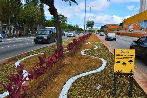 Ponta Porã cria jardim que transforma chuva em aliada contra enchentes Ponta Porã cria jardim que transforma chuva em aliada contra enchentes
