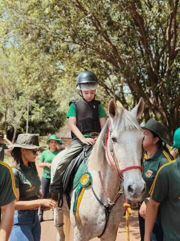 Cavalos como tratamento: veja onde praticar equoterapia na Capital
