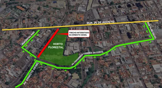 Trecho da Ernesto Geisel foi interditado para remoção de 12 árvores  Trecho da Ernesto Geisel foi interditado para remoção de 12 árvores