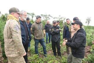 Operação contra o tráfico elimina 1 milhão de quilos de maconha na fronteira Operação contra o tráfico elimina 1 milhão de quilos de maconha na fronteira