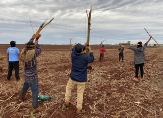 MPF investiga suspeita de sequestro e abuso de jovem indígena na Fazenda Ipuitã  MPF investiga suspeita de sequestro e abuso de jovem indígena na Fazenda Ipuitã