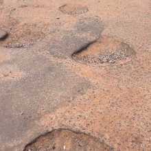 Moradores jogam entulhos para tapar buracos em rua do Jardim Botânico Moradores jogam entulhos para tapar buracos em rua do Jardim Botânico