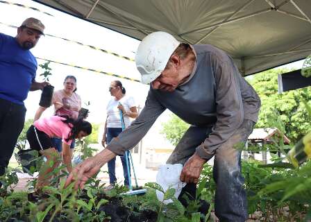 Em homenagem aos finados, mudas de &aacute;rvores s&atilde;o distribu&iacute;das em tr&ecirc;s cemit&eacute;rios 