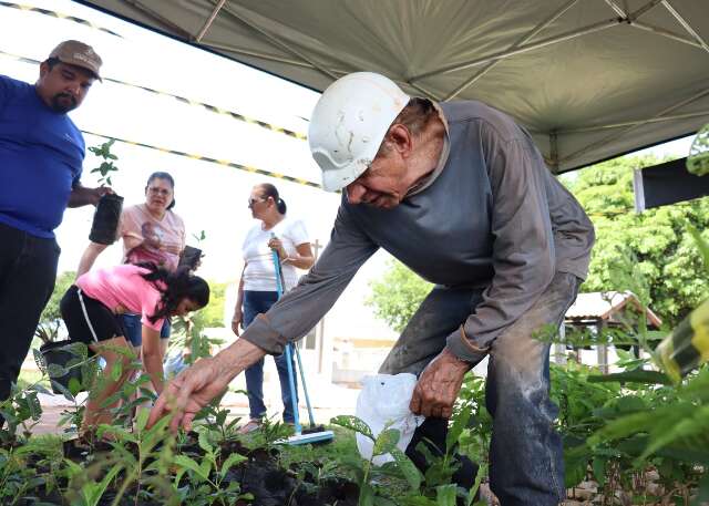 Em homenagem aos finados, mudas de &aacute;rvores s&atilde;o distribu&iacute;das em tr&ecirc;s cemit&eacute;rios 