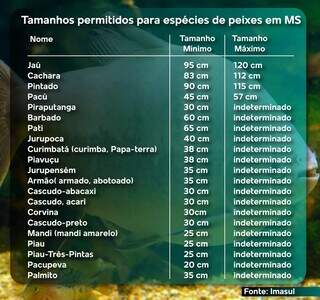 &Uacute;ltimo fim de semana antes da proibi&ccedil;&atilde;o da pesca movimenta pesqueiros de MS