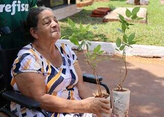 Em homenagem aos finados, mudas de árvores são distribuídas em três cemitérios Em homenagem aos finados, mudas de árvores são distribuídas em três cemitérios