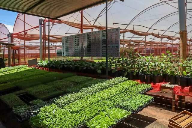 Maioria dos leitores compraria em com&eacute;rcio de bairro se pre&ccedil;os fossem parecidos