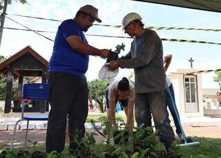 Em homenagem aos finados, mudas de &aacute;rvores s&atilde;o distribu&iacute;das em tr&ecirc;s cemit&eacute;rios 
