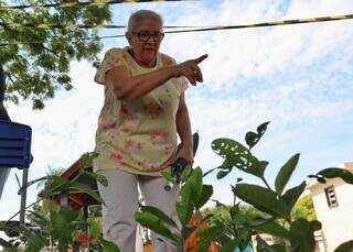 Em homenagem aos finados, mudas de &aacute;rvores s&atilde;o distribu&iacute;das em tr&ecirc;s cemit&eacute;rios 
