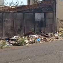 Impacto dos lix&otilde;es que se espalham pela cidade ser&aacute; discutido em audi&ecirc;ncia