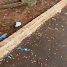 Parque dos Poderes vira palco de baderna e amanhece tomado por lixo Parque dos Poderes vira palco de baderna e amanhece tomado por lixo