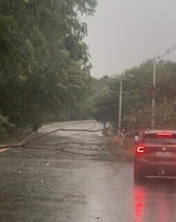 Tempestade interdita Afonso Pena nos dois sentidos e fecha Parque das Na&ccedil;&otilde;es