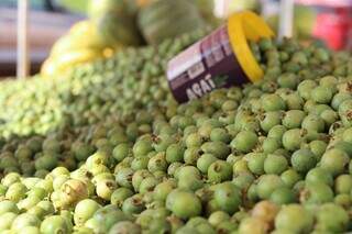 Guavira volta &agrave;s ruas e renova o sabor da primavera em Campo Grande