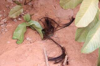 Três anos de medo e ameaças antecederam o ataque brutal às vizinhas no Caiobá Três anos de medo e ameaças antecederam o ataque brutal às vizinhas no Caiobá