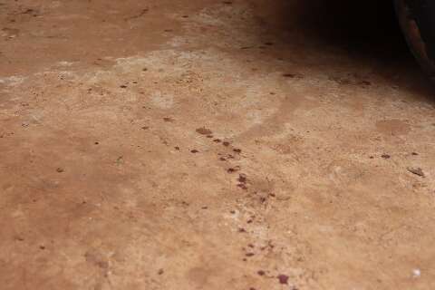 Homem esfaqueia duas mulheres na cabe&ccedil;a e no pesco&ccedil;o durante briga de vizinhos