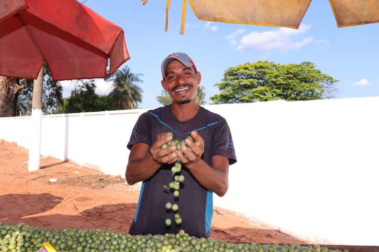 Guavira volta às ruas e renova o sabor da primavera em Campo Grande