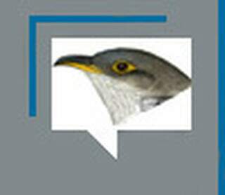 O melhor la&ccedil;ador da hist&oacute;ria e o feiti&ccedil;o do Papa-Lagarta