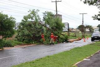 Tempestade interdita Afonso Pena nos dois sentidos e fecha Parque das Na&ccedil;&otilde;es