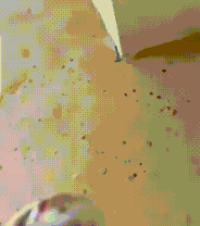 Homem invade casa e esfaqueia rapaz e padrasto durante confus&atilde;o