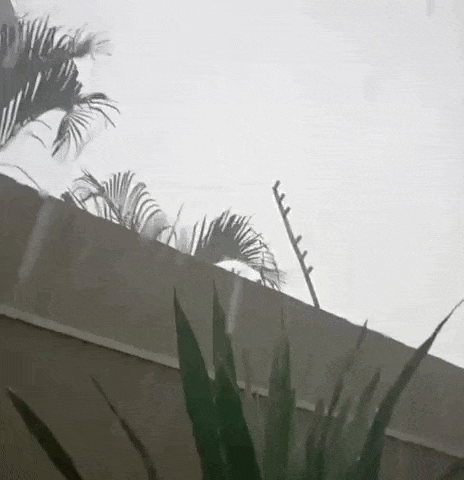 Temporal com granizo atinge bairros de Campo Grande na tarde de Finados