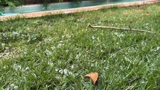 Temporal com granizo atinge bairros e rajadas de vento fazem estragos na Capital