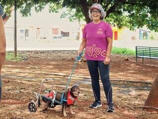 Márcia recusou a eutanásia e devolveu a alegria ao 'aumigo' Juca Márcia recusou a eutanásia e devolveu a alegria ao 'aumigo' Juca