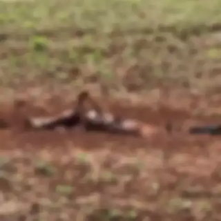 Corpo com cabe&ccedil;a e bra&ccedil;o enterrados &eacute; achado em assentamento