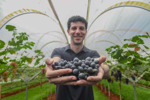 Inspirado na Europa, Ra&iacute; transformou quintal em vinhedo urbano