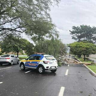 Temporal deixa at&eacute; Defesa Civil sem energia e por mais de sete horas