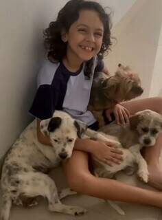 Cadela Yorkshire desaparece e deixa criança em desespero no Tiradentes Cadela Yorkshire desaparece e deixa criança em desespero no Tiradentes