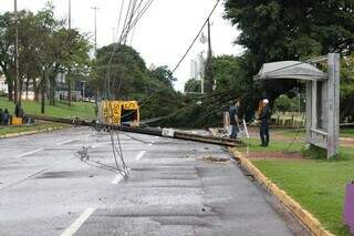 Balanço parcial: 14 árvores caíram e 20% dos imóveis seguem sem energia Balanço parcial: 14 árvores caíram e 20% dos imóveis seguem sem energia