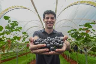 Inspirado na Europa, Raí transformou quintal em vinhedo urbano Inspirado na Europa, Raí transformou quintal em vinhedo urbano