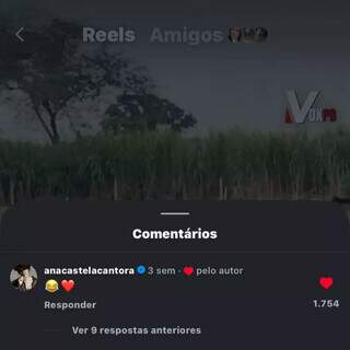 Mini boiadeira viraliza ao apartar ovelhas e ganha elogio de Ana Castela