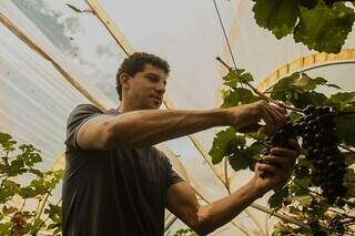 Inspirado na Europa, Raí transformou quintal em vinhedo urbano Inspirado na Europa, Raí transformou quintal em vinhedo urbano