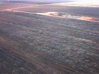 Incêndio em canavial destrói áreas protegidas e gera multa de R$ 4,8 milhões Incêndio em canavial destrói áreas protegidas e gera multa de R$ 4,8 milhões